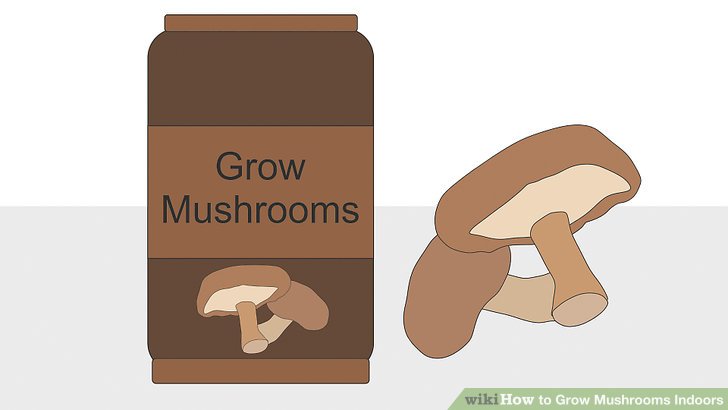 آموزش کاشت قارچ در خانه مرحله 13