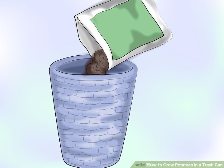 Image titled Grow Potatoes in a Trash Can Step 2
