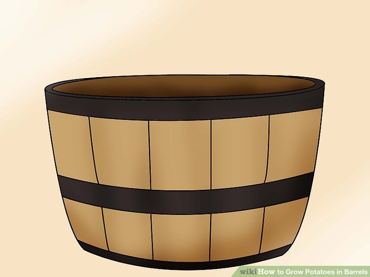 Image titled Grow Potatoes in Barrels Step 1