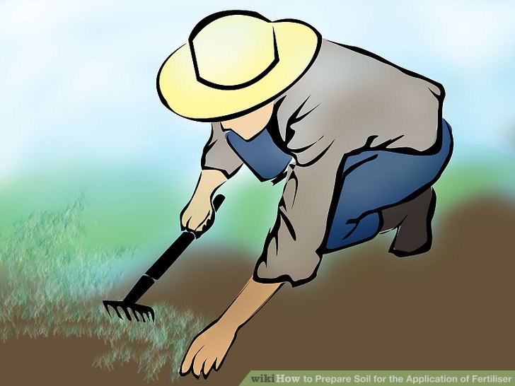 Image titled Prepare Soil for the Application of Fertiliser Step 2