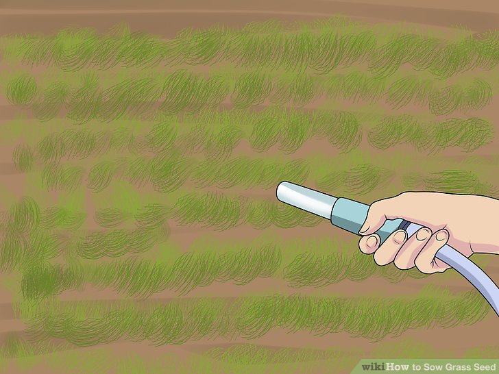 آموزش کاشت چمن با بذر مرحله 11