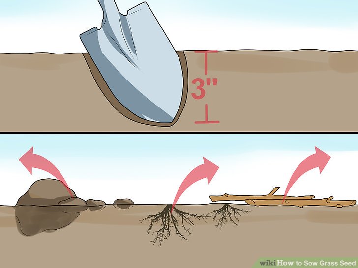آموزش کاشت چمن با بذر مرحله 3