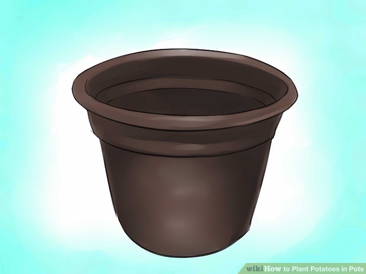 Image titled Plant Potatoes in Pots Step 3