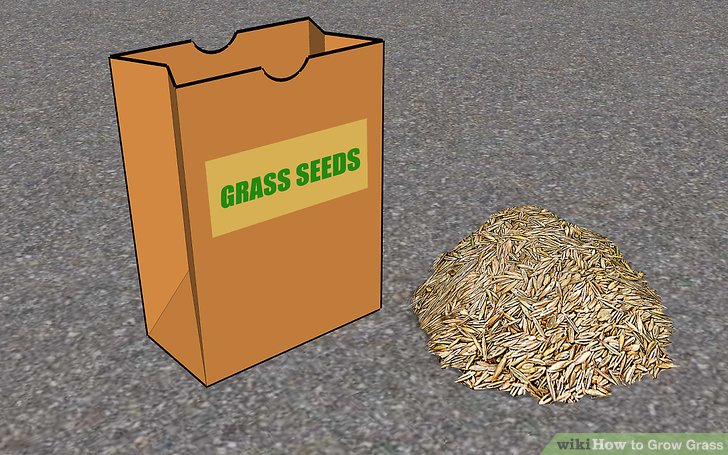 Image titled Grow Grass Step 3
