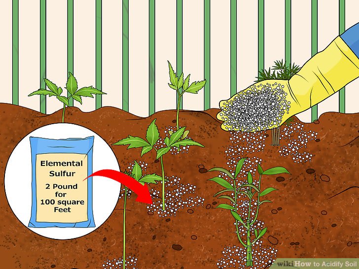 Image titled Acidify Soil Step 10