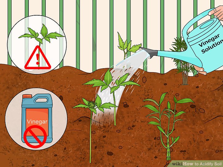 Image titled Acidify Soil Step 11