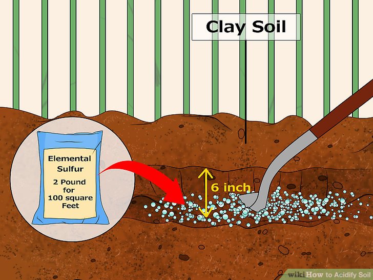 Image titled Acidify Soil Step 7